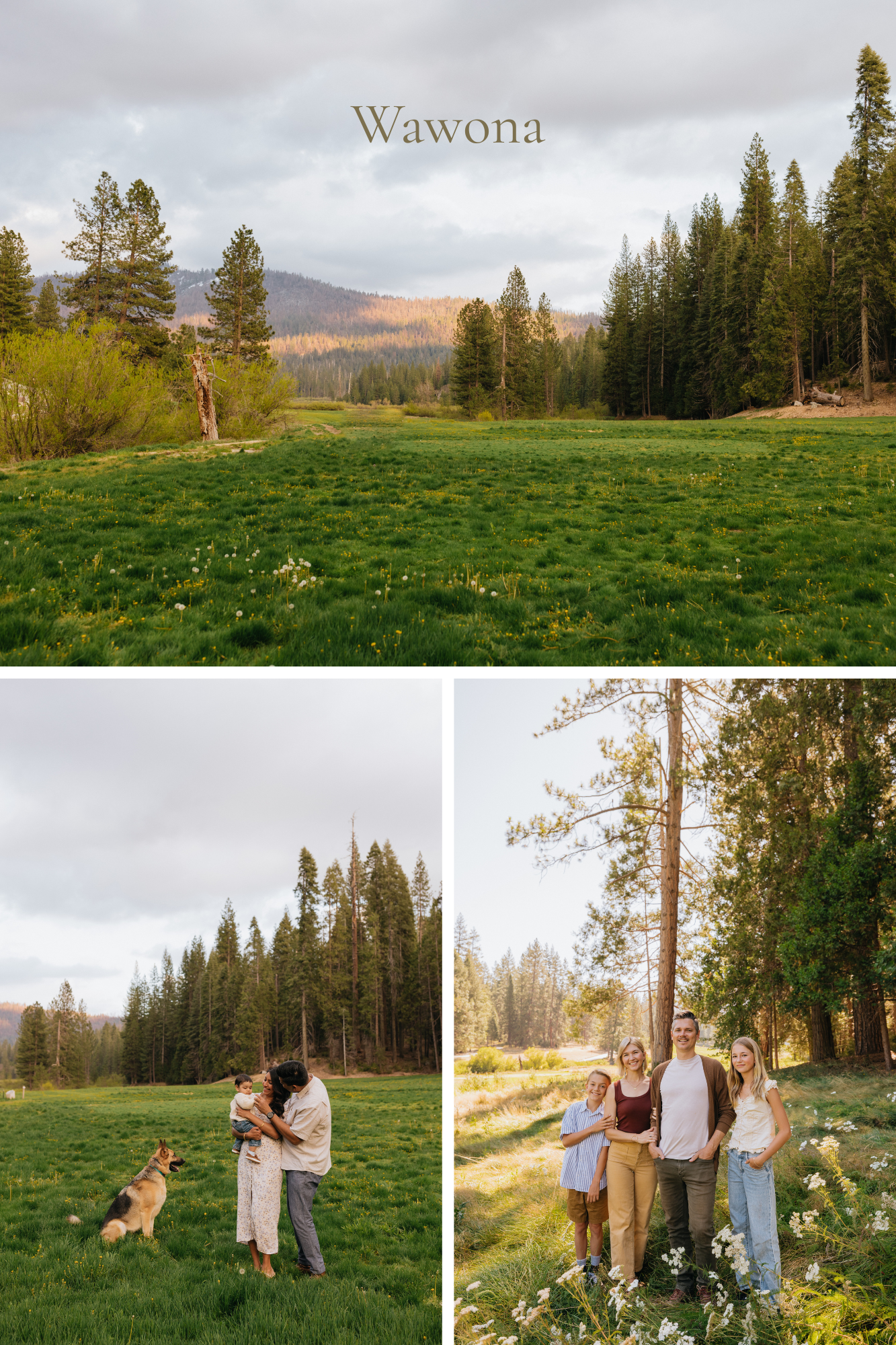 Wawona Photos.png (Copy)