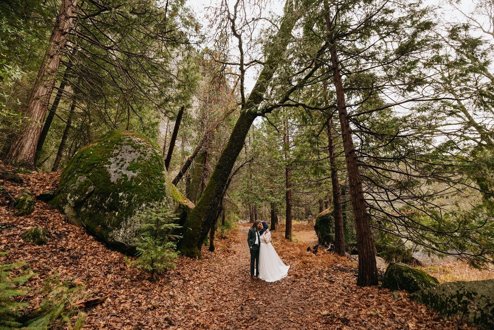 Tall forest trees with a  bride and groom hugging