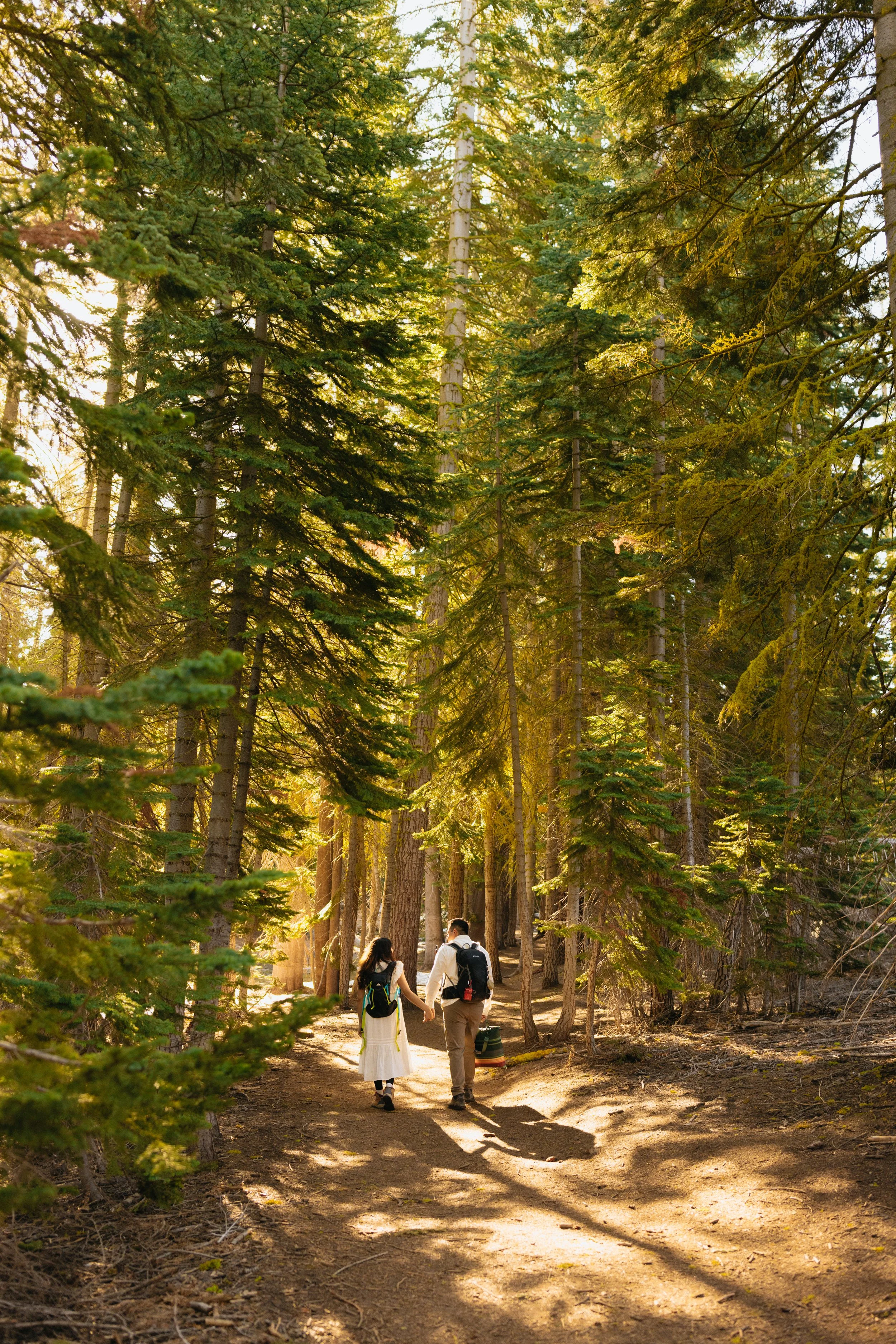 Two people walking hand-in-hand on a forest trail in Yosemite National Park with tall evergreen trees and sunlight.