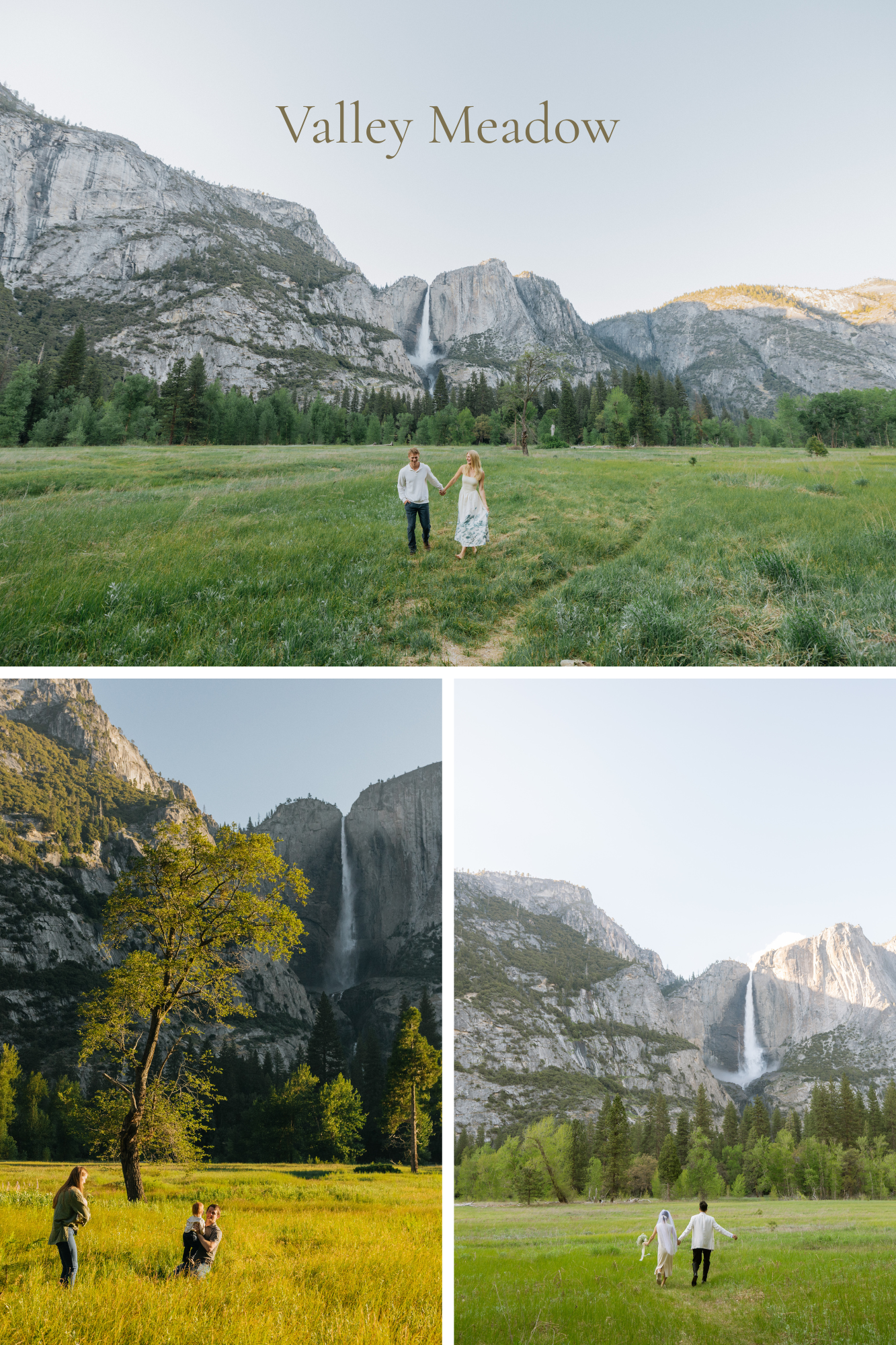 Valley Meadow Photos.png (Copy) (Copy) (Copy)