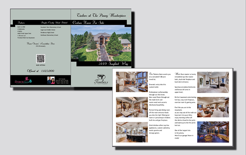 flyer for Exit Realty website.jpeg