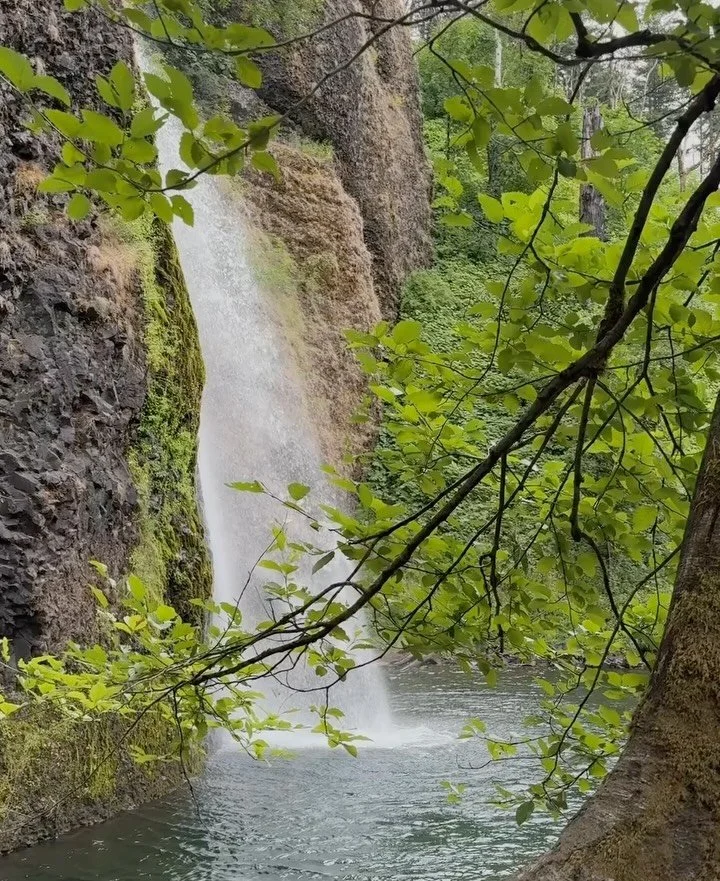 now kiss on the lake hydrobikes