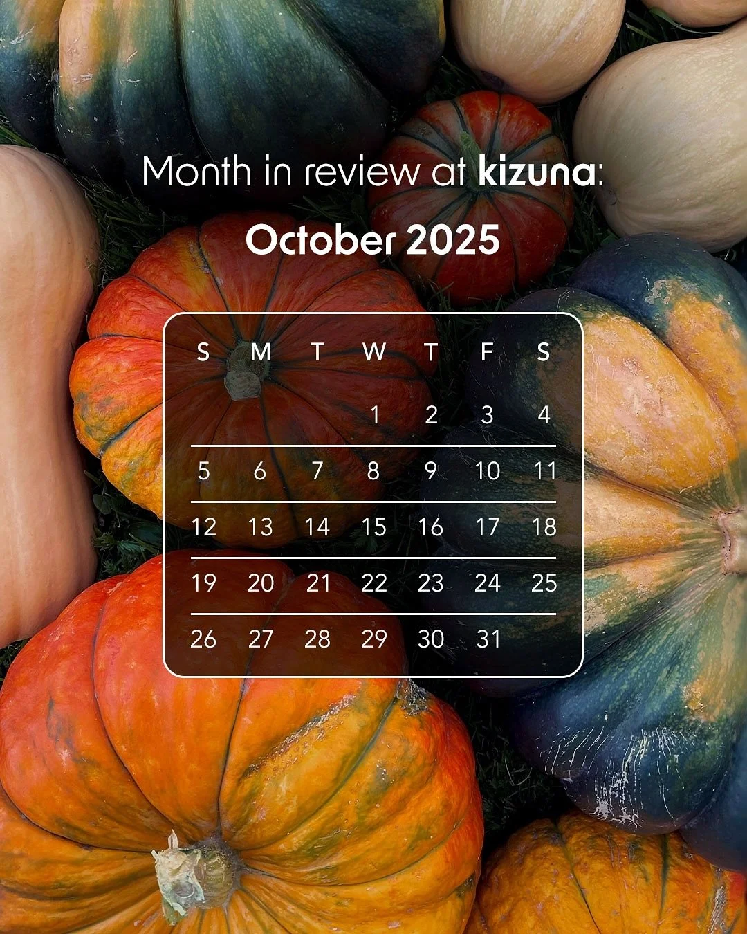 Happy November 🎃

As fall picked up and the leaves changed from green to orange, this past October we rang in company milestones and team fun!

From us at Kizuna to you, thanks for joining us for another month of care. Check back in December for mor