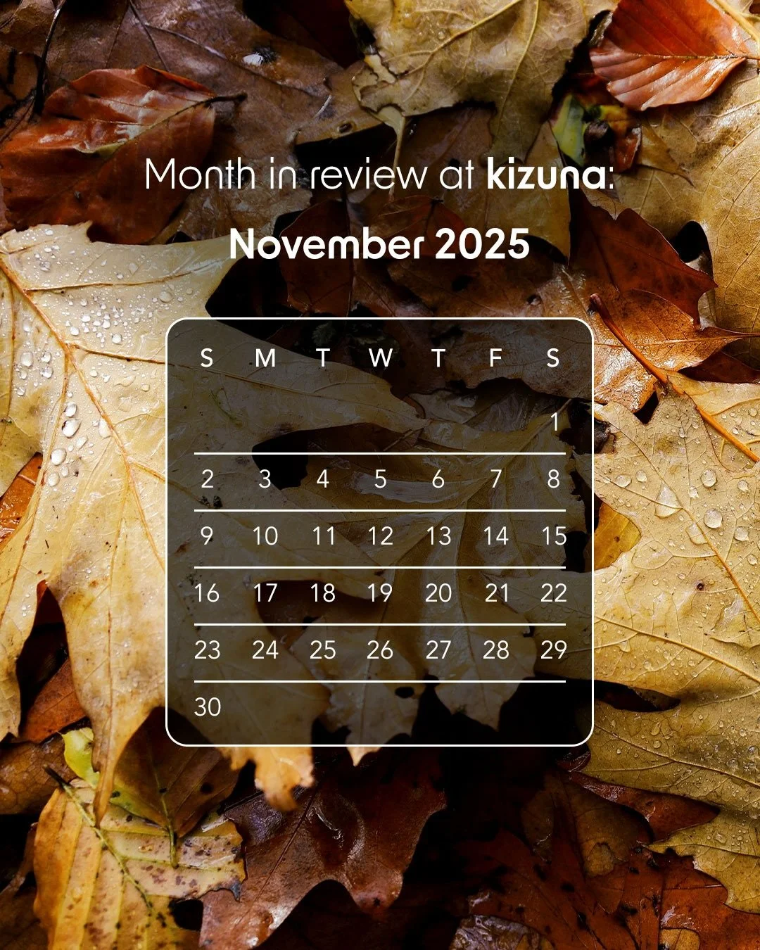 Happy December 🍁

November was full of big wins for Kizuna! With each passing week came more hours of care and the decision to expand our care region even further. We&rsquo;re grateful for our growing number of families and caregivers for making it 