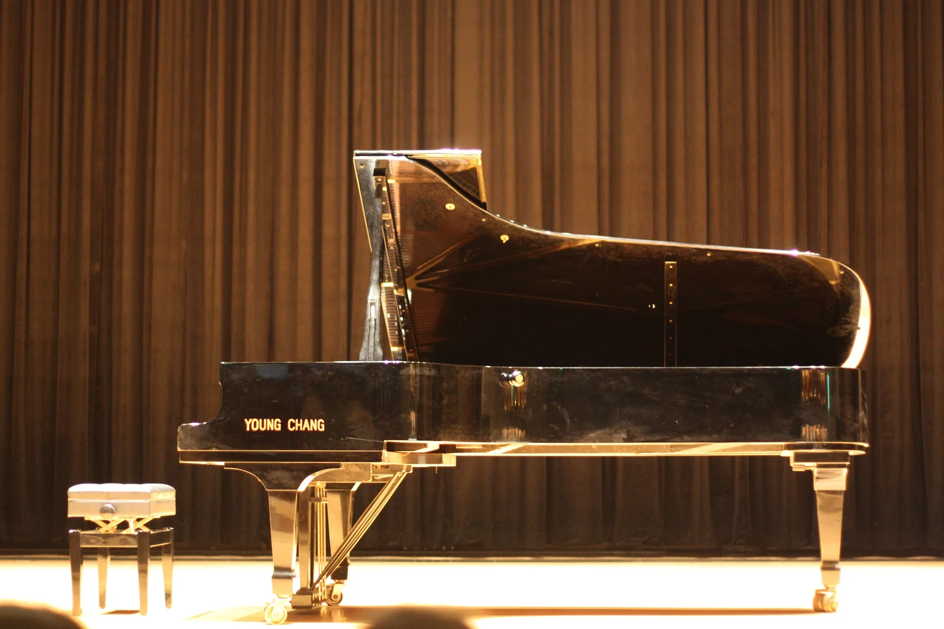 Solo Piano Recital/Benefit Concert