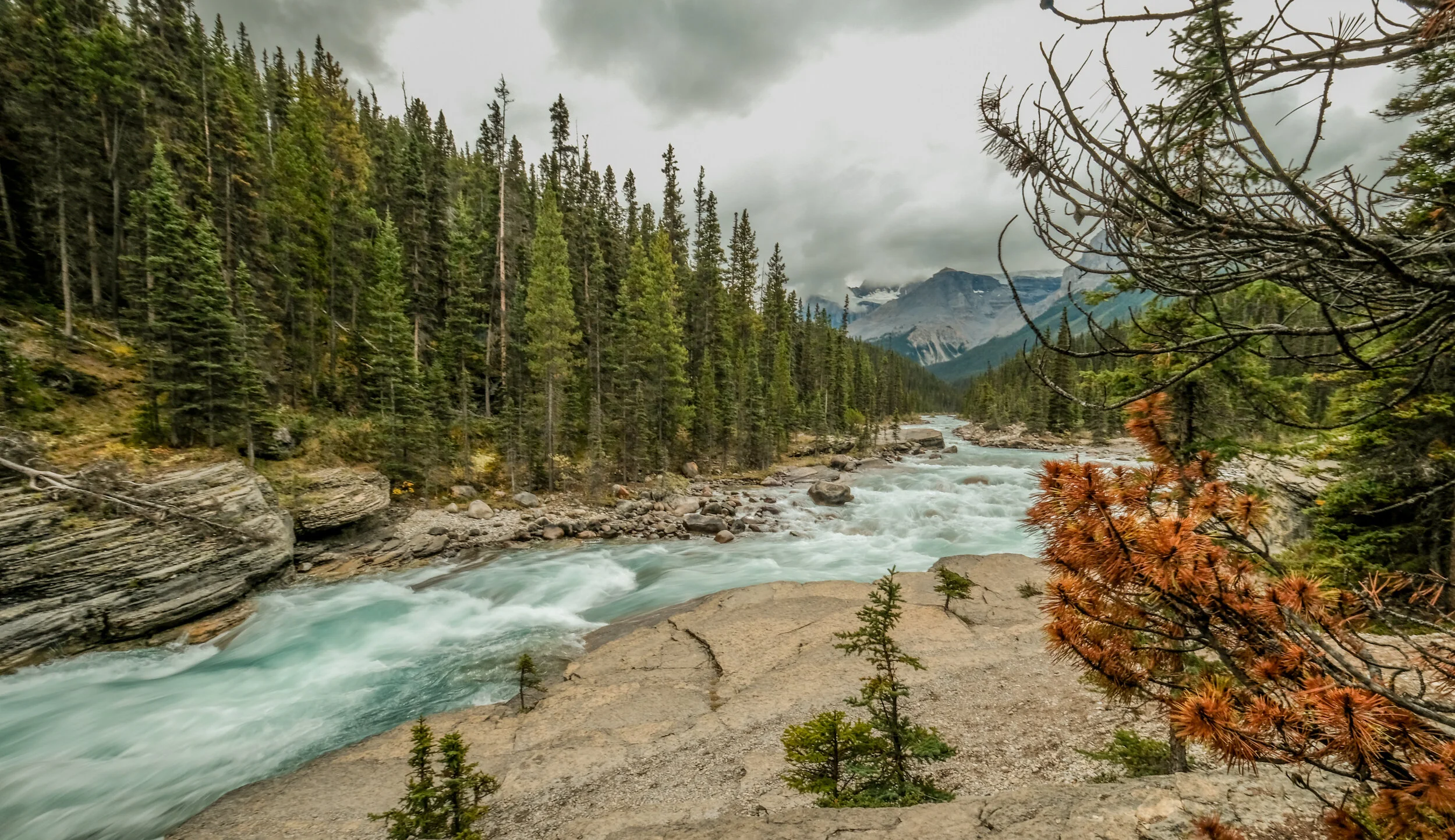 TakakkawFallsRiver.jpg