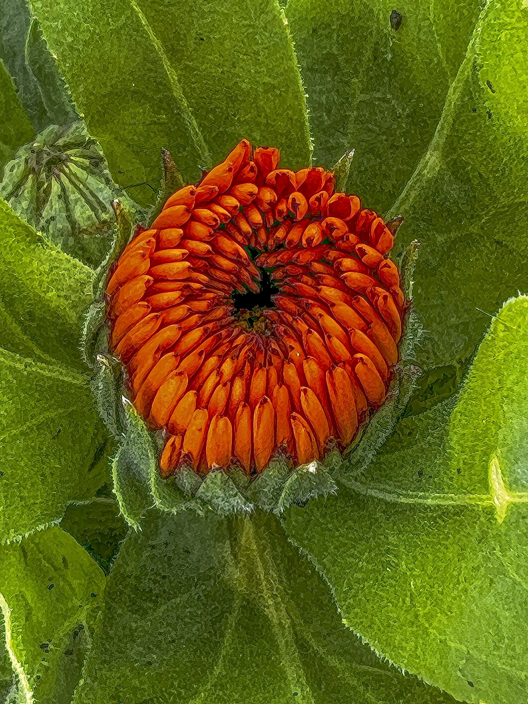 AbstractGarden-13-Edit.jpg