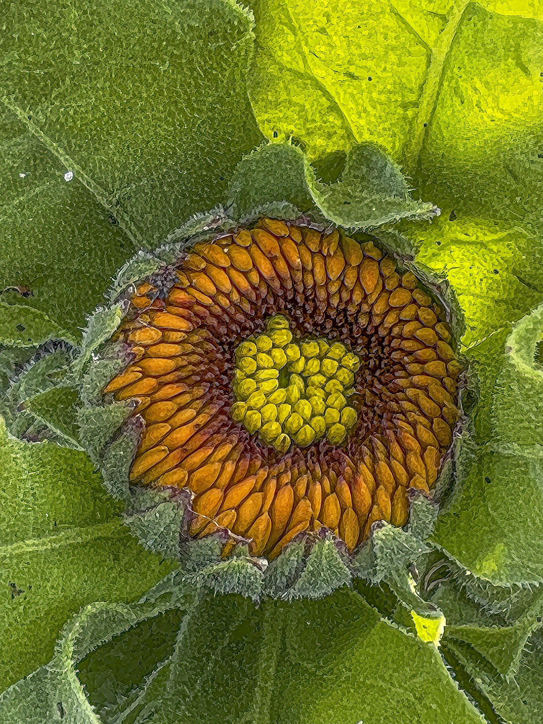 AbstractGarden-14-Edit.jpg