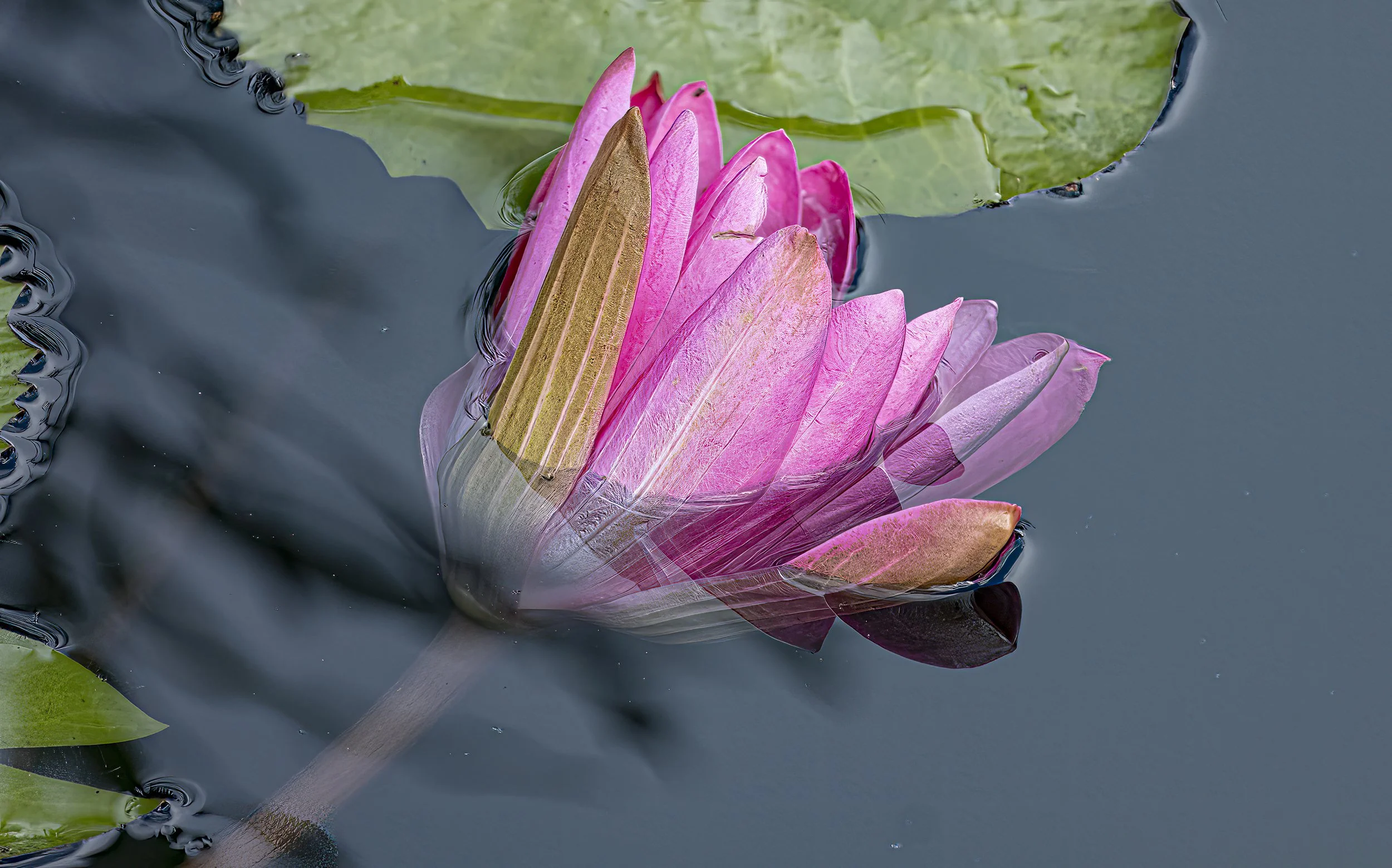 DSCF9518-Edit-Edit.jpg