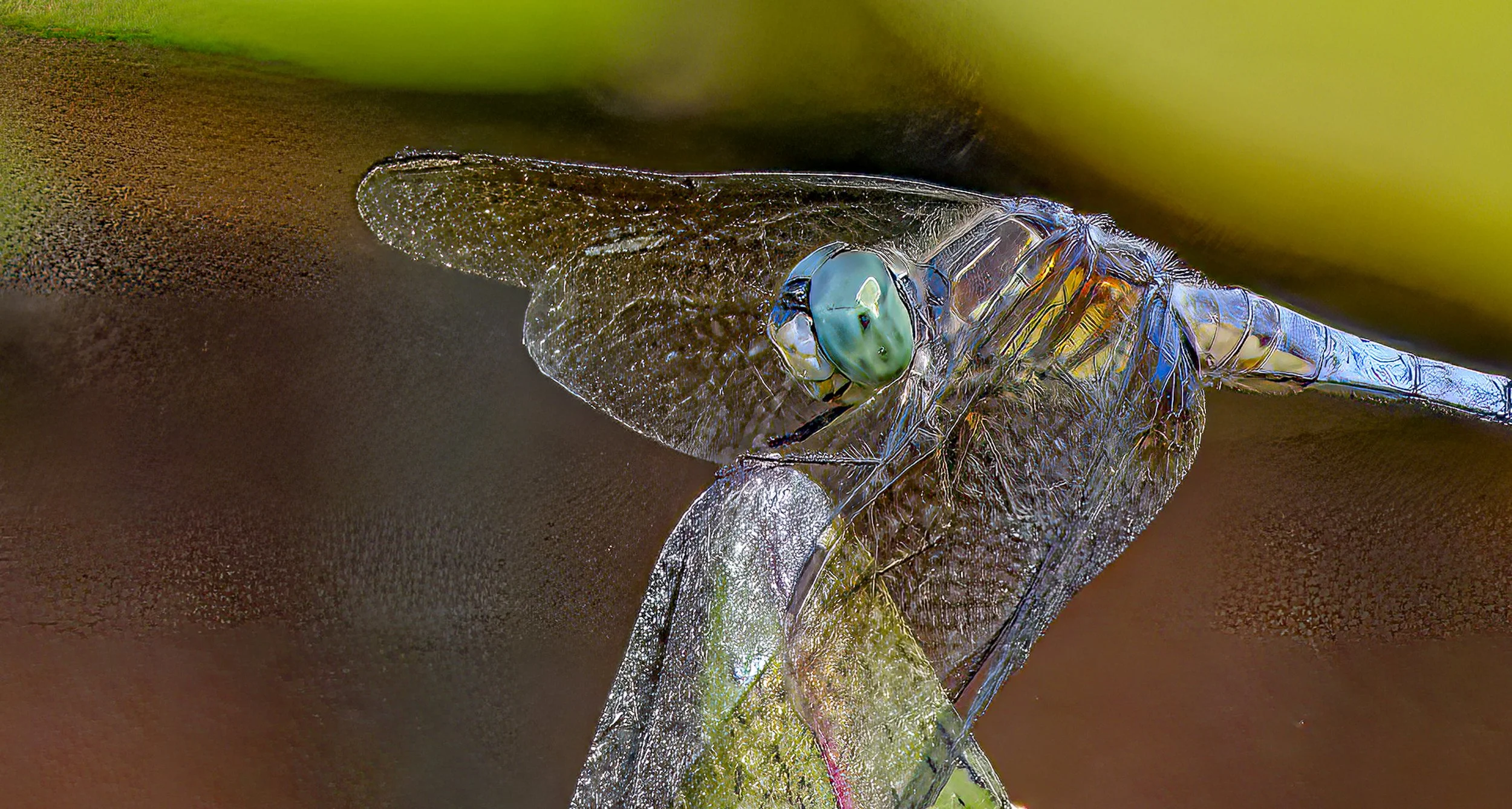 DSCF2136-Edit-Edit.jpg