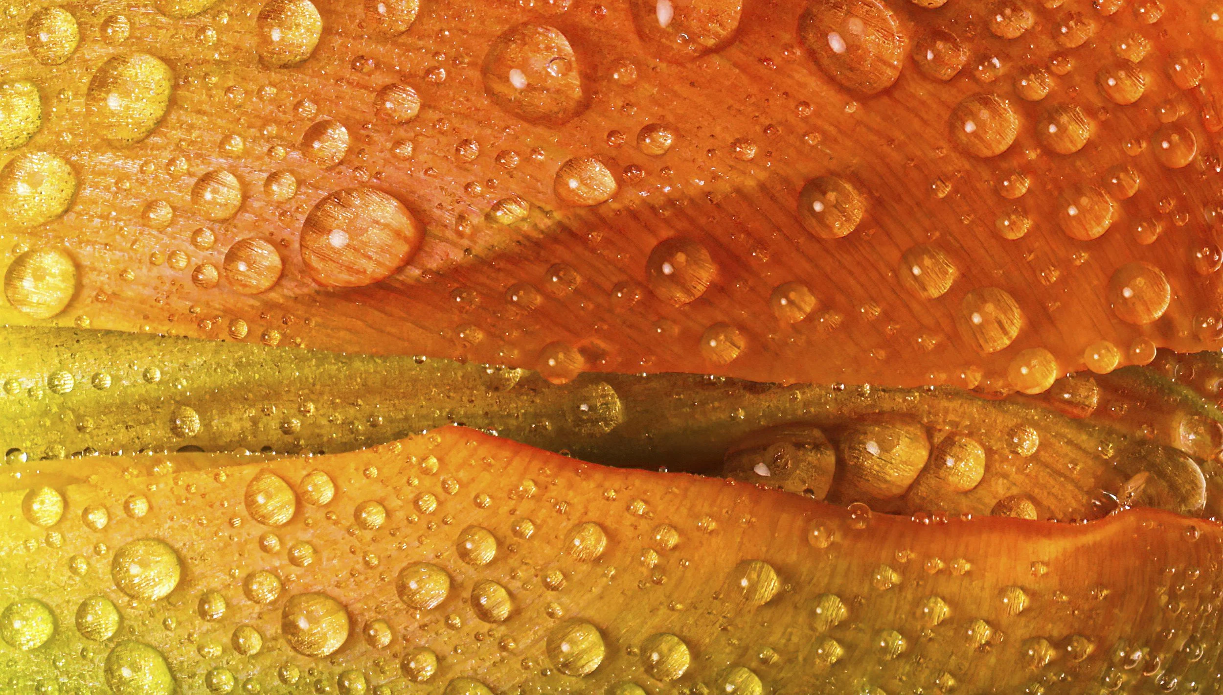 2026-03-01 14-48-43 (B,R8,S4)-Edit.jpg