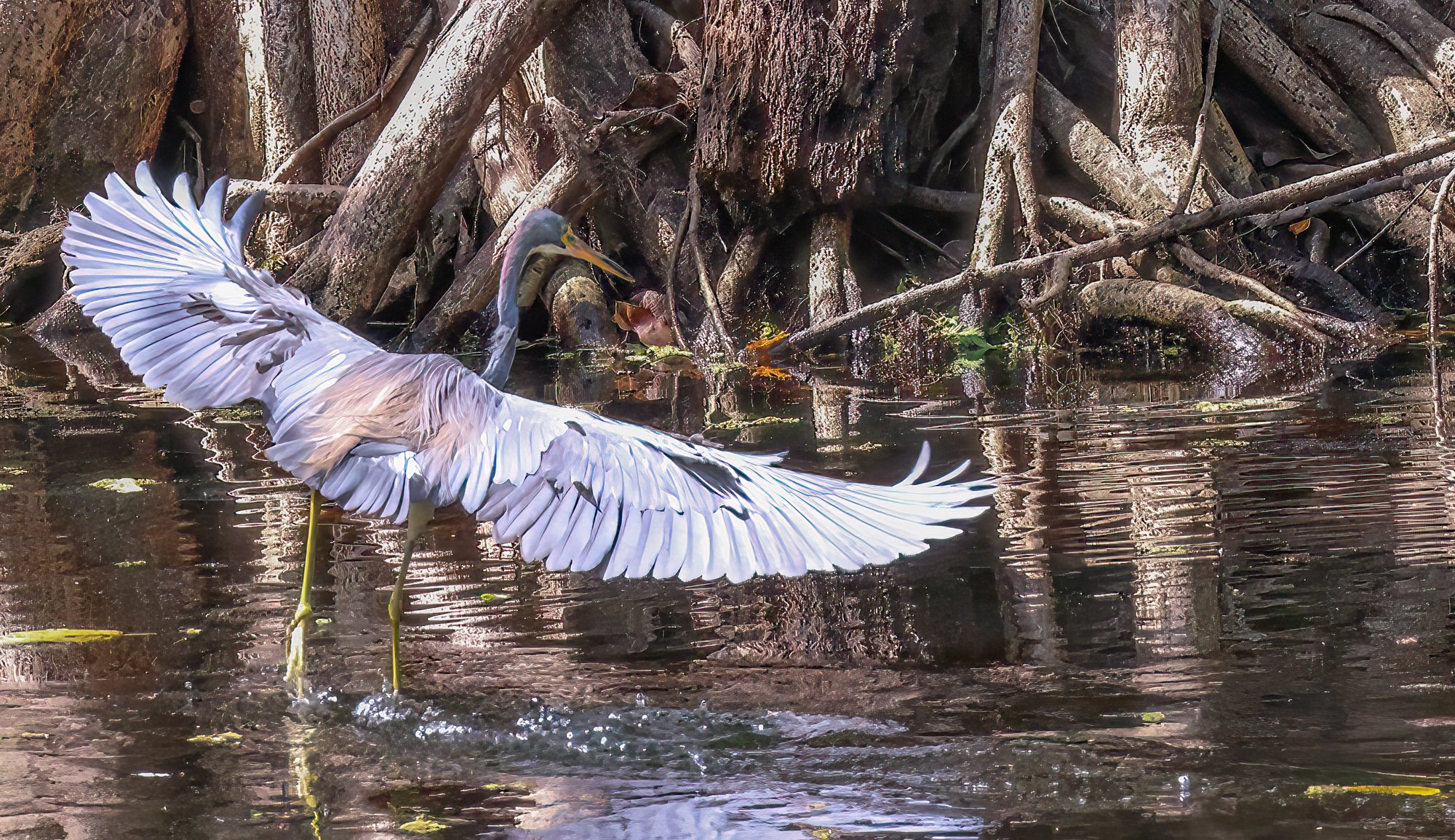 IMG_7319-Edit-Edit.jpg