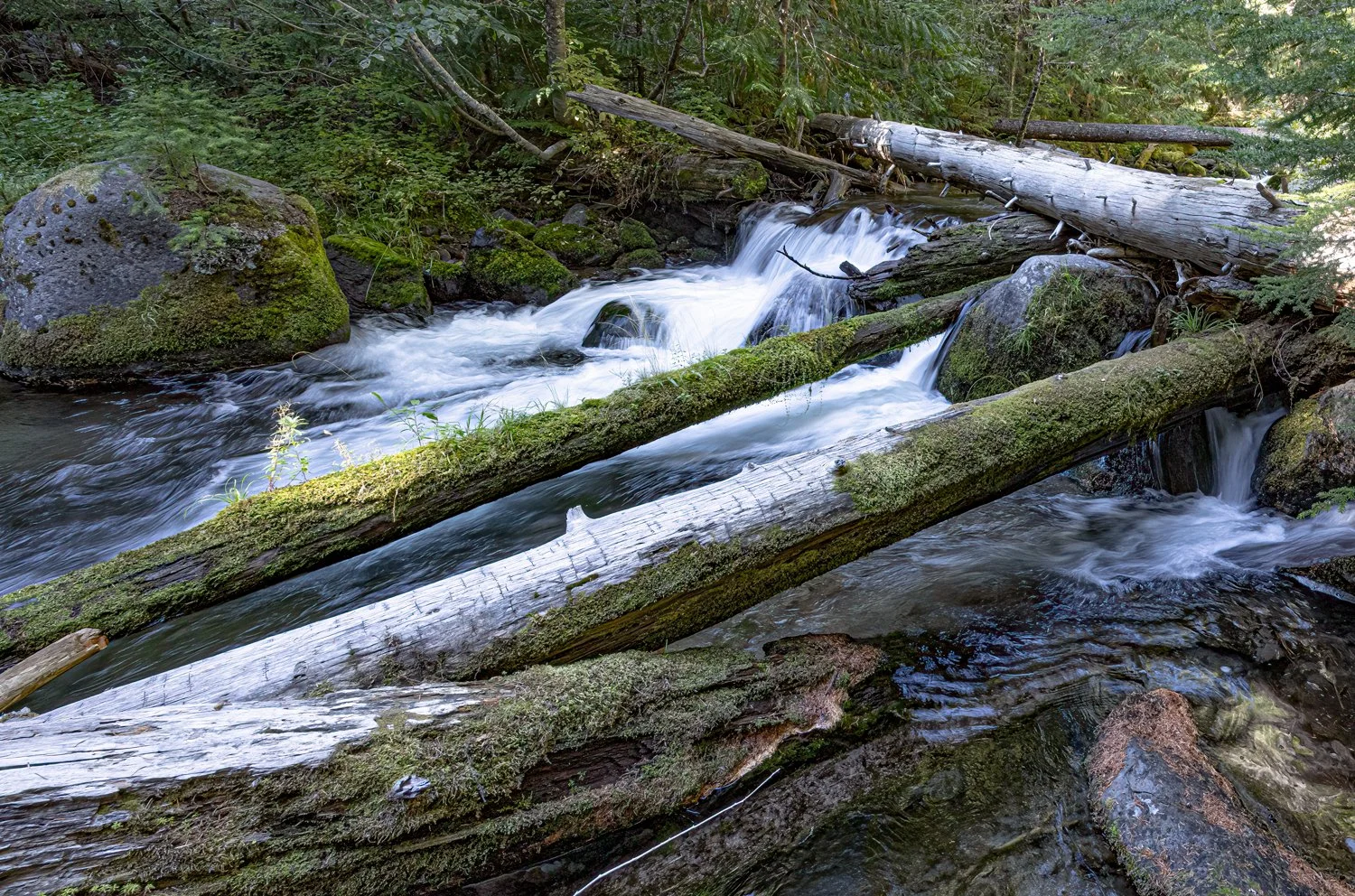 IMG_6106-Edit.jpg