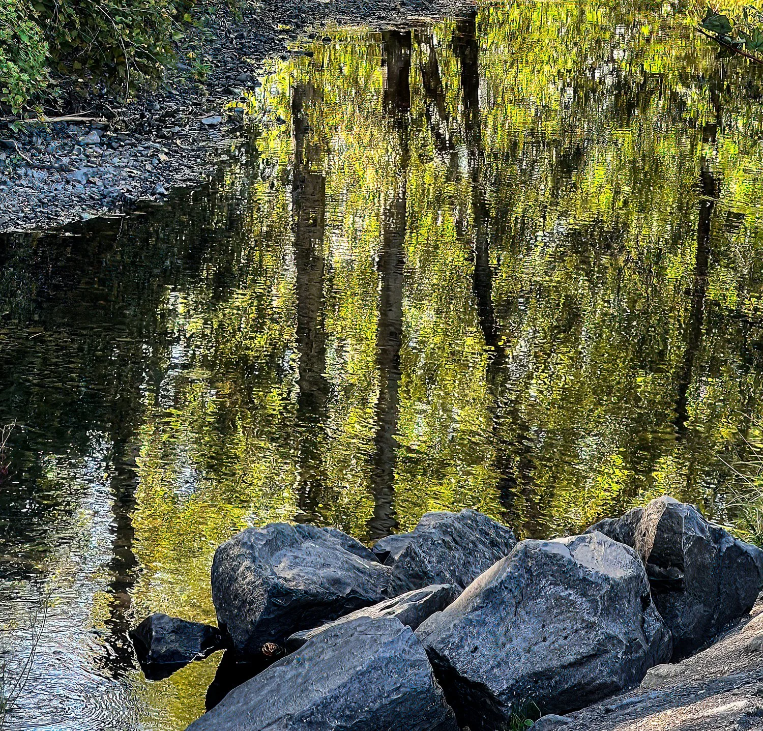 IMG_7540-Edit.jpg