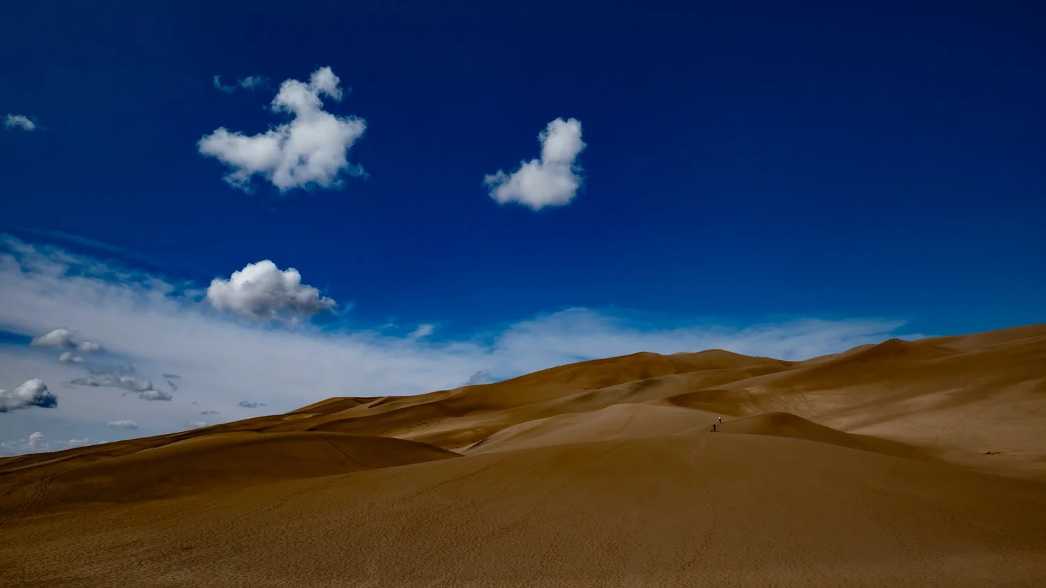 DSCF0140-Edit.jpg