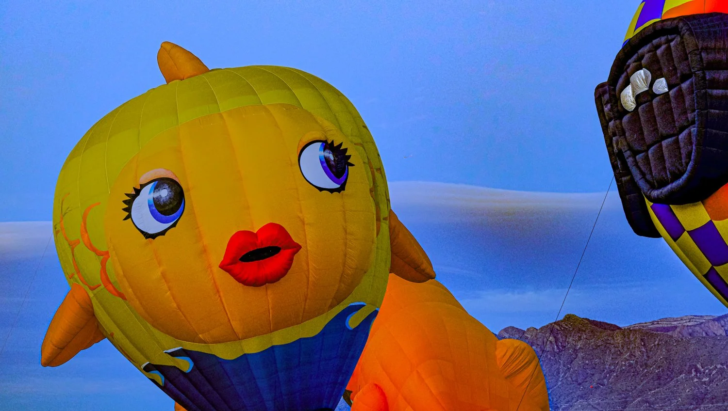 DSCF0817.jpg