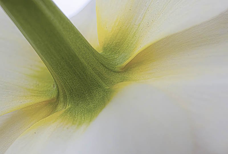 IMG_6411-Edit.jpg