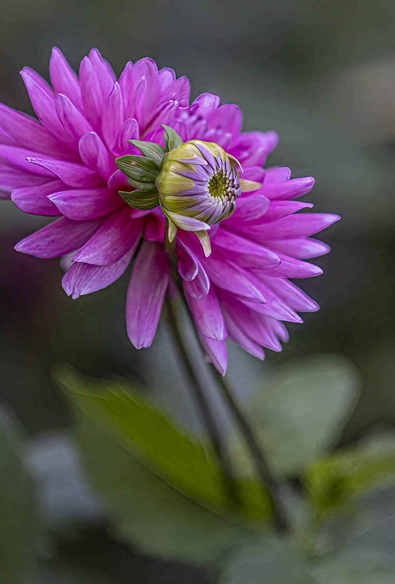 IMG_5929-Edit.jpg