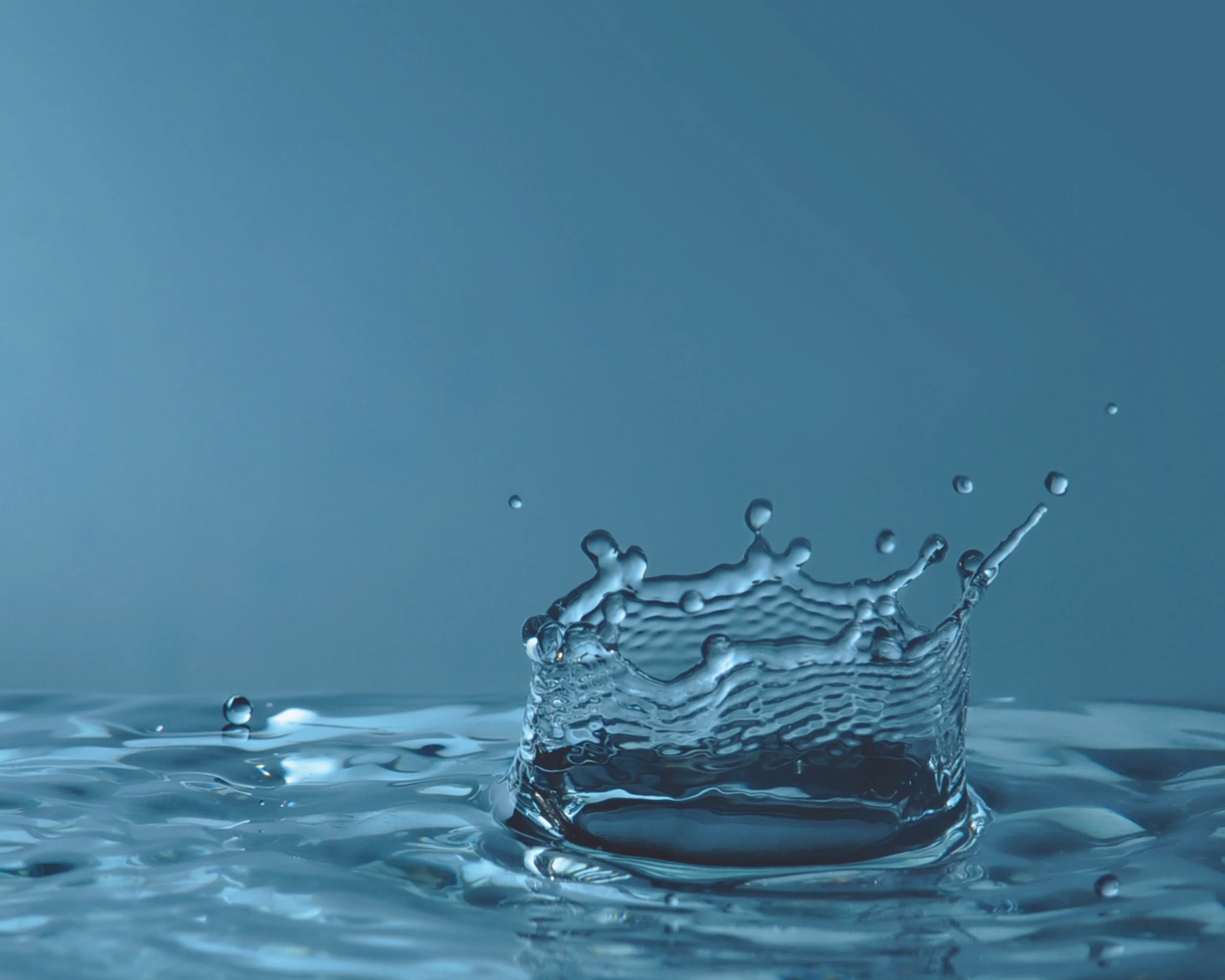 Resilient Movement & Performance Laboratory
