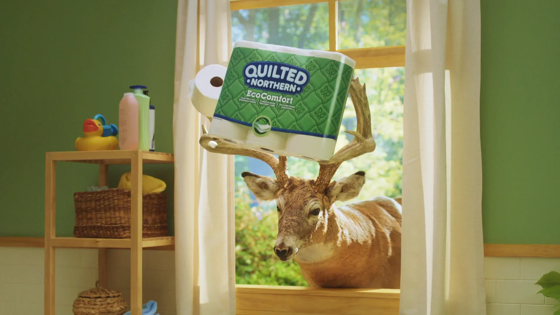 Quilted Northern // Product launch