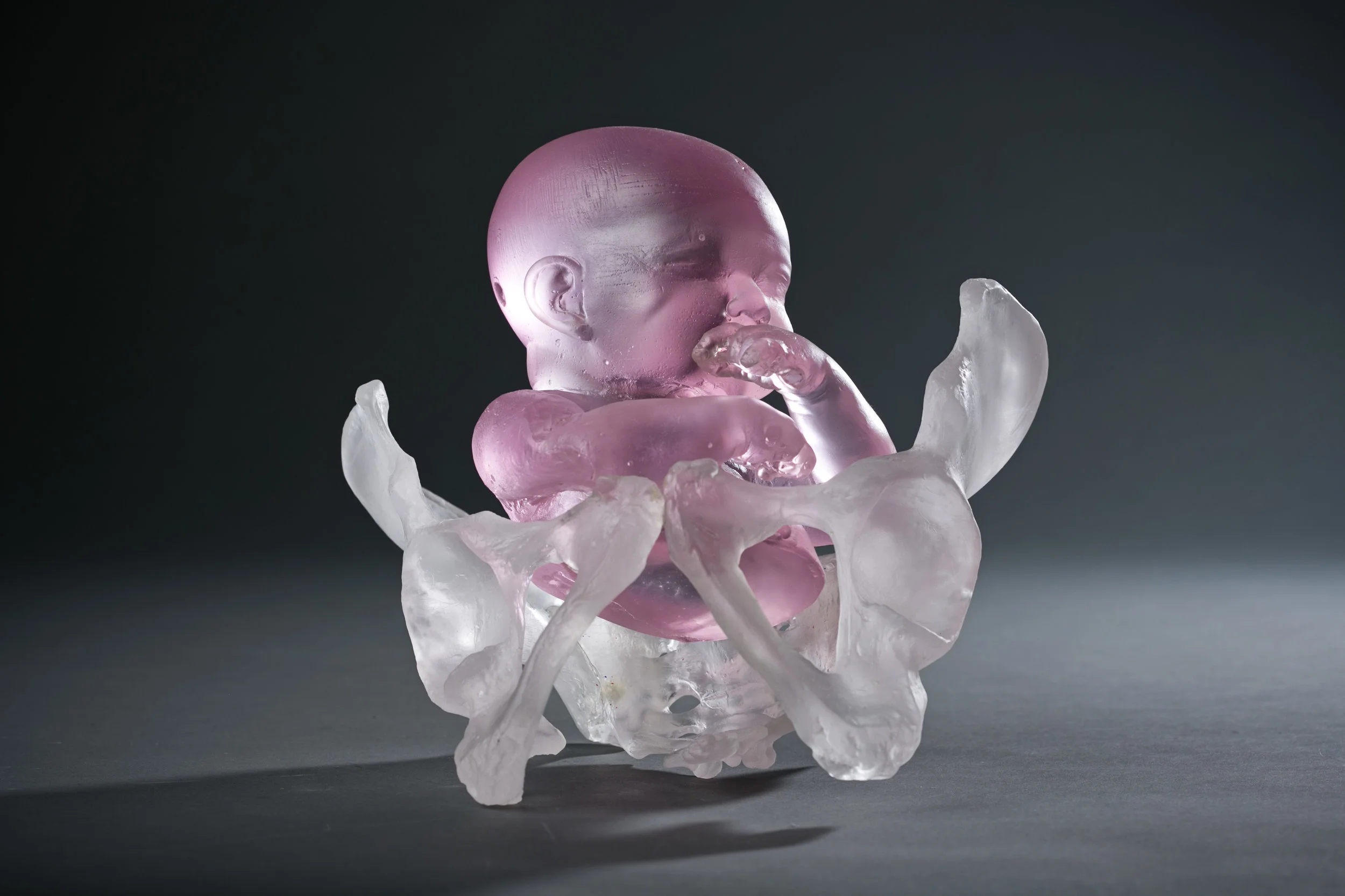 Baby and Pelvis