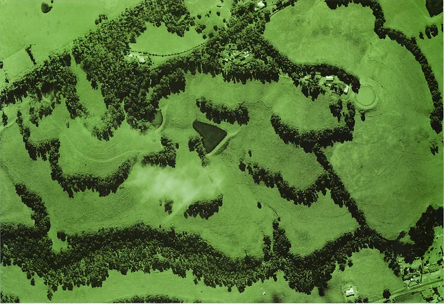 Nevallan - a farm by PA Yeomans - Detail of offset lithographic print by Ian Milliss and Lucas Ihlein, 2011