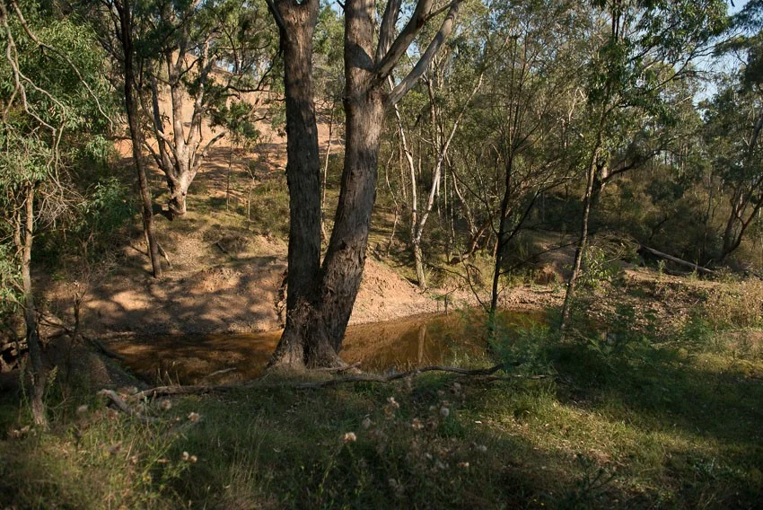 marloo-pic.jpg
