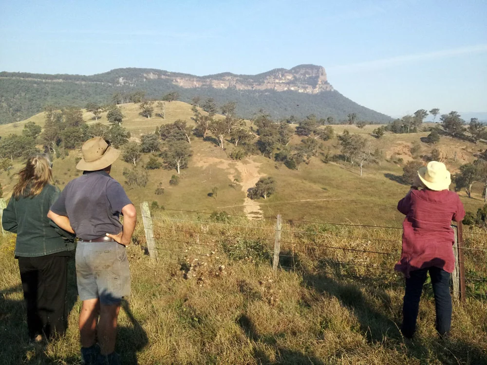 Mount Marsden in the background, named for the flogging parson.