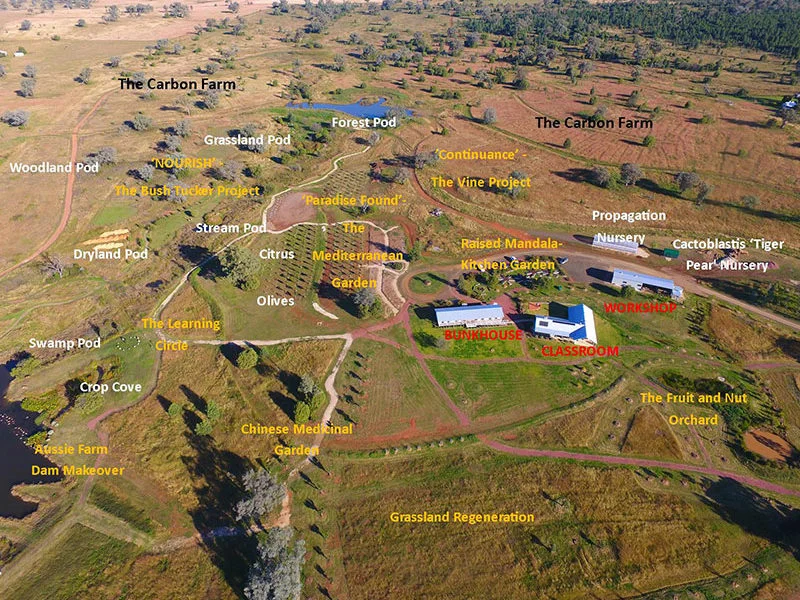 The Living Classroom, Bingara