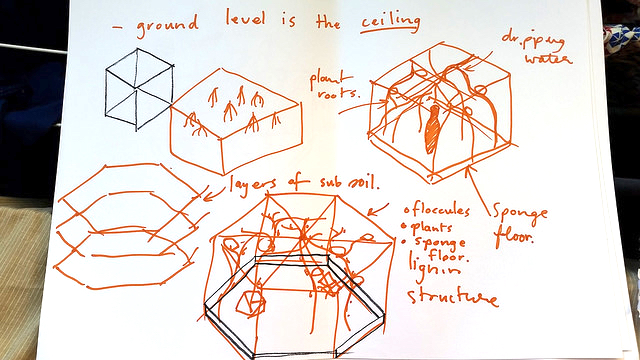 soil sketch 5.jpg