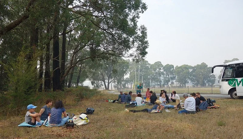 Picnic lunch at Hallora Recreation Reserve.