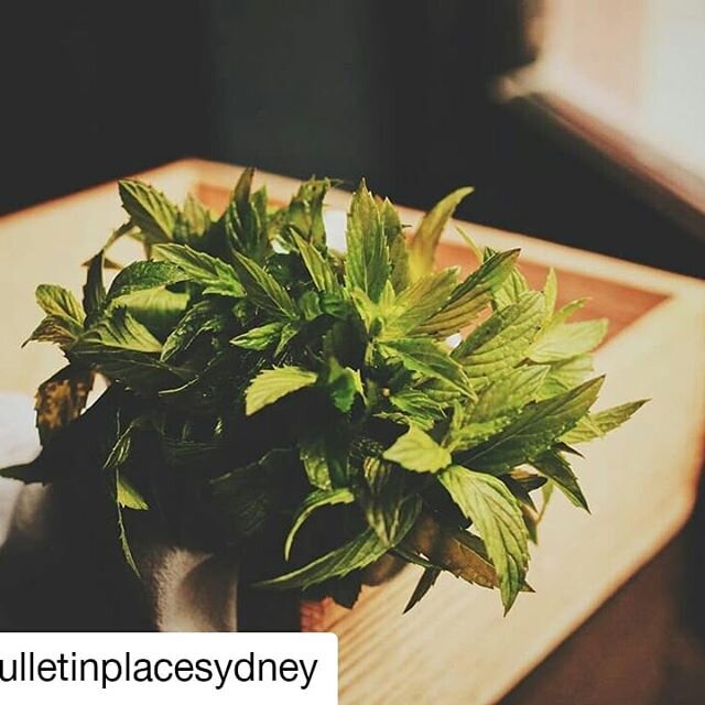 #Repost @bulletinplacesydney - the #wildfoodstore story continues! Diego @theweedyone has some flourishing relationships in Oberon, NSW.
&bull; &bull; &bull; &bull; &bull; &bull;
MENTHA AUSTRALIS.
⠀⠀⠀⠀⠀⠀
Colloquially known as river or native mint, th