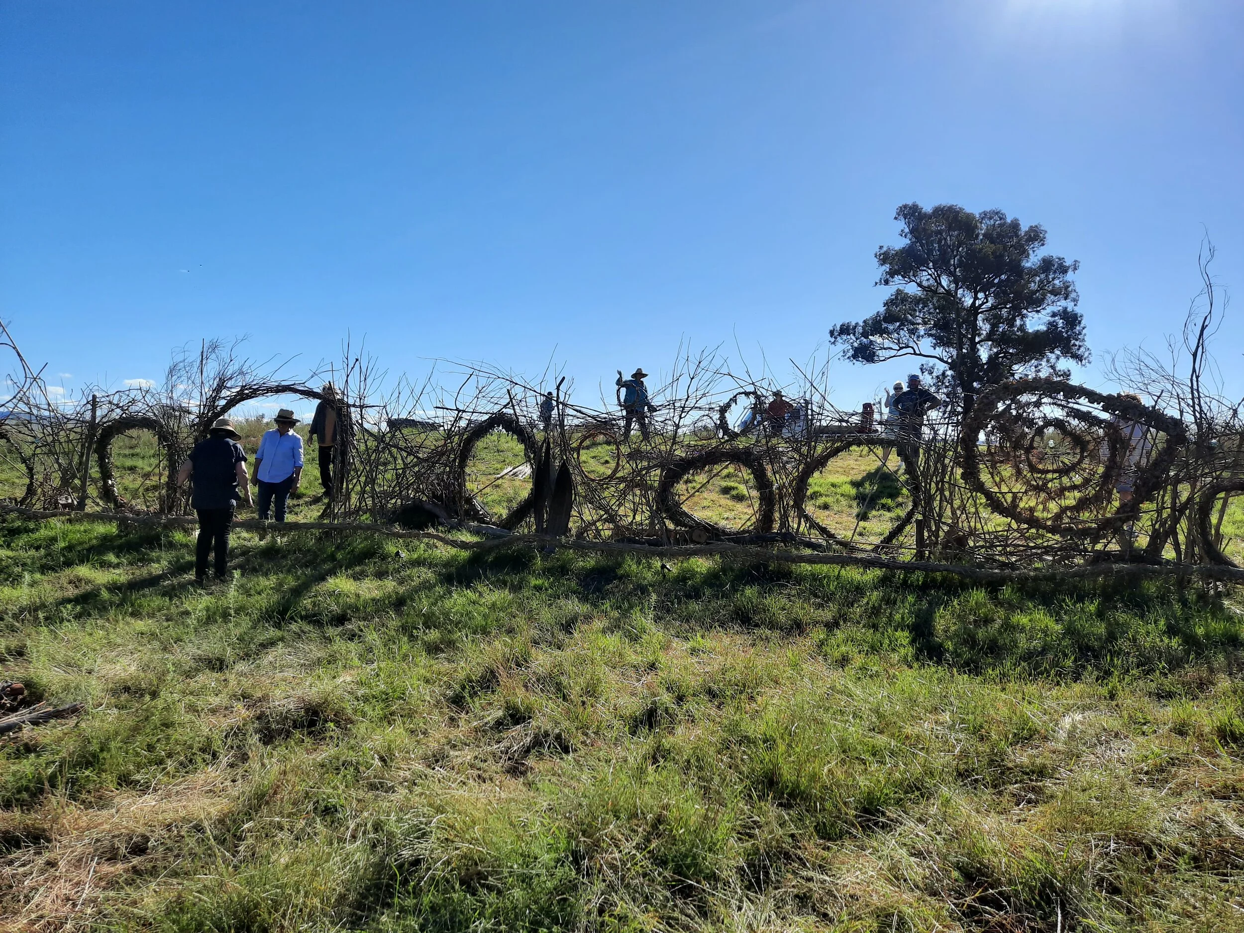 Capertee Valley Hydrology Project