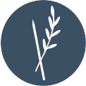 NatalieArent-Favicon-Small.png