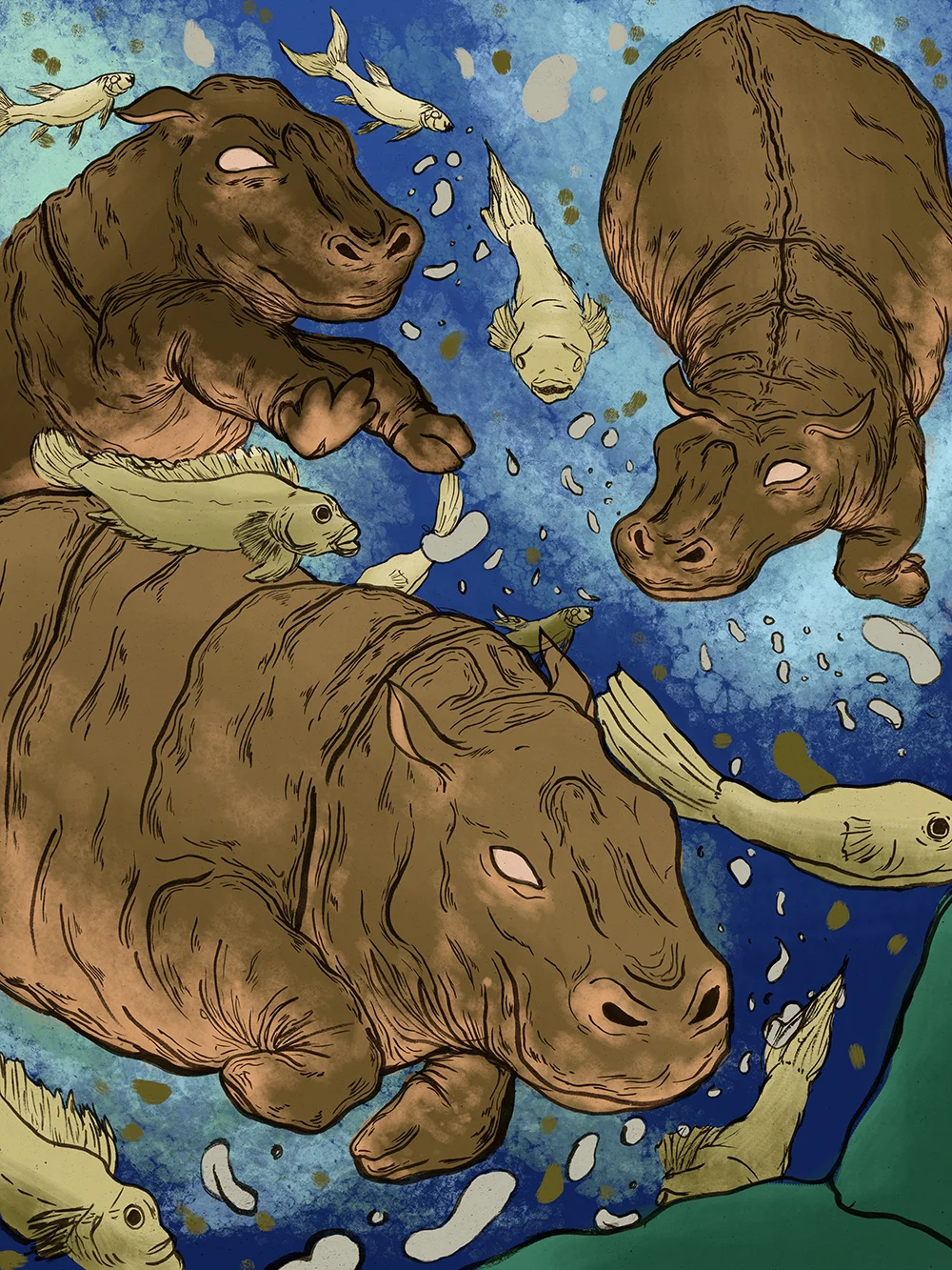 hippos 2nd.jpg
