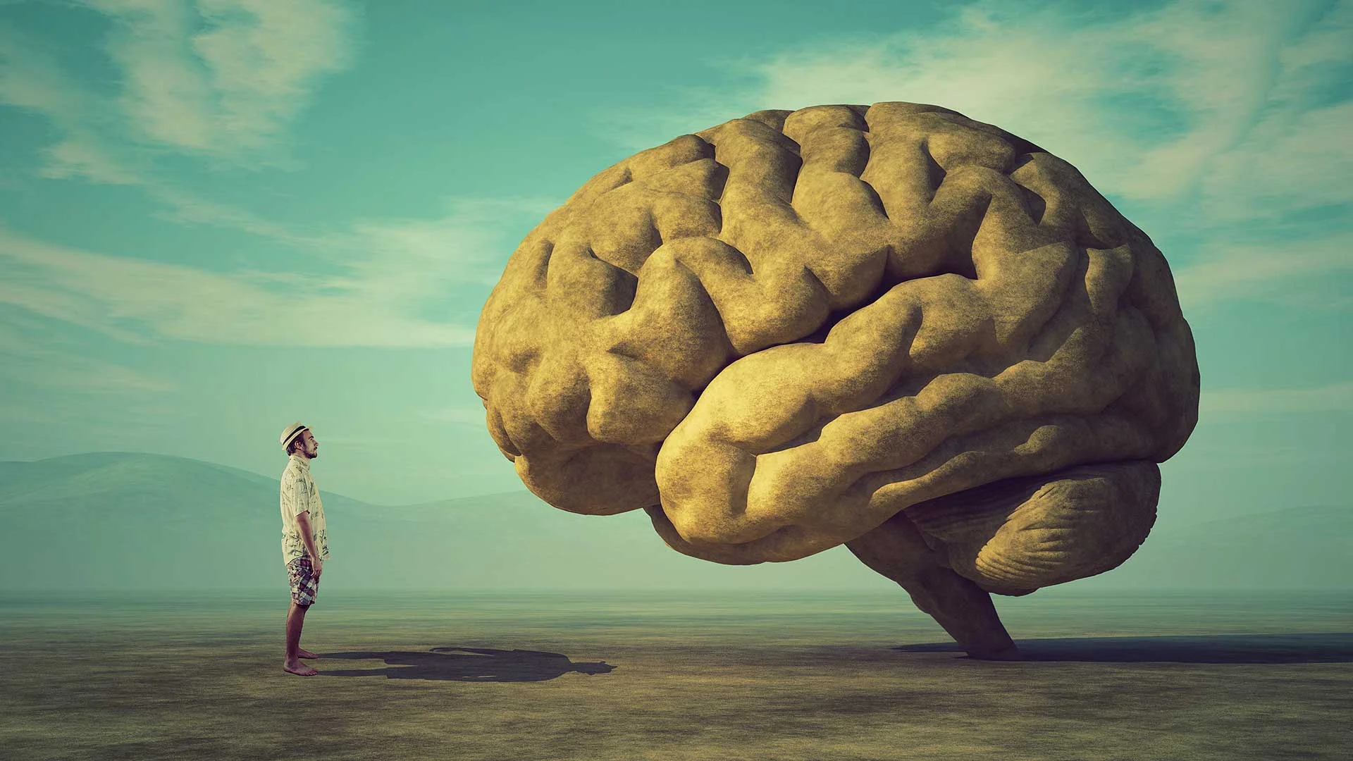 person-brain-illustration_shutterstock_032541603.jpg
