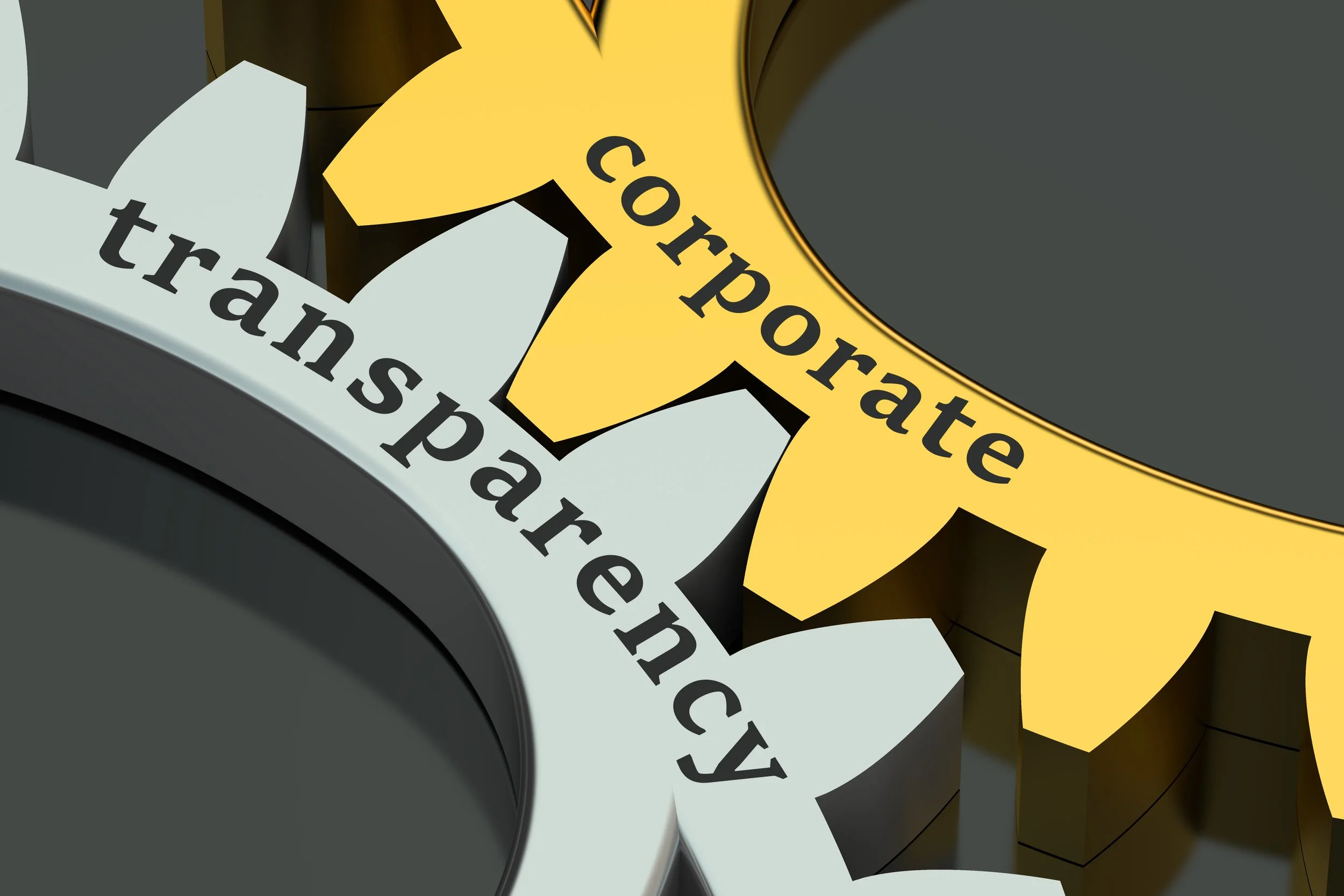 Corporate Transparency Act Effective January 2024
