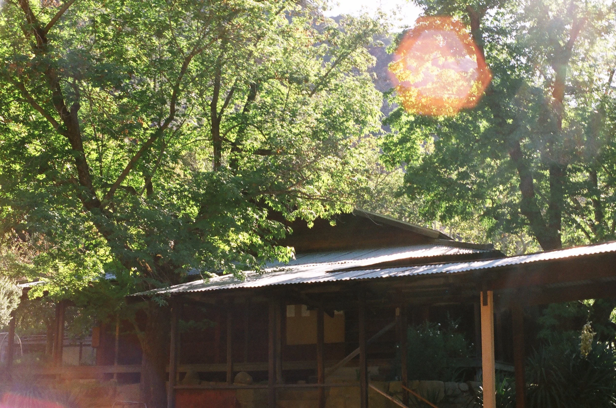 Tassajara Mountain Zen Center Zendo, photo by Fletcher Tucker