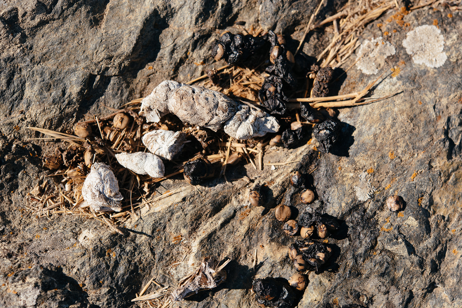 DSC_0749.jpg