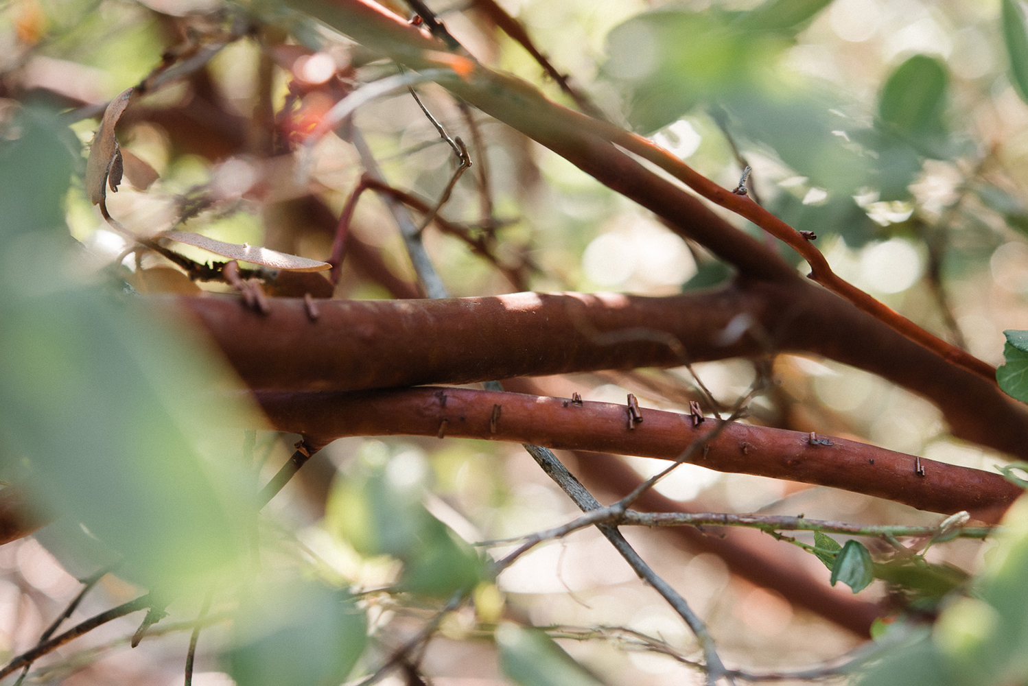DSC_0686.jpg