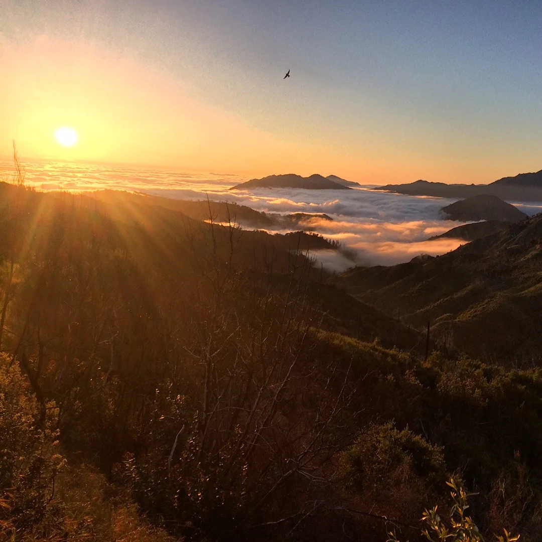 Truly falling in love with the sacred wild lands of California over and over again.