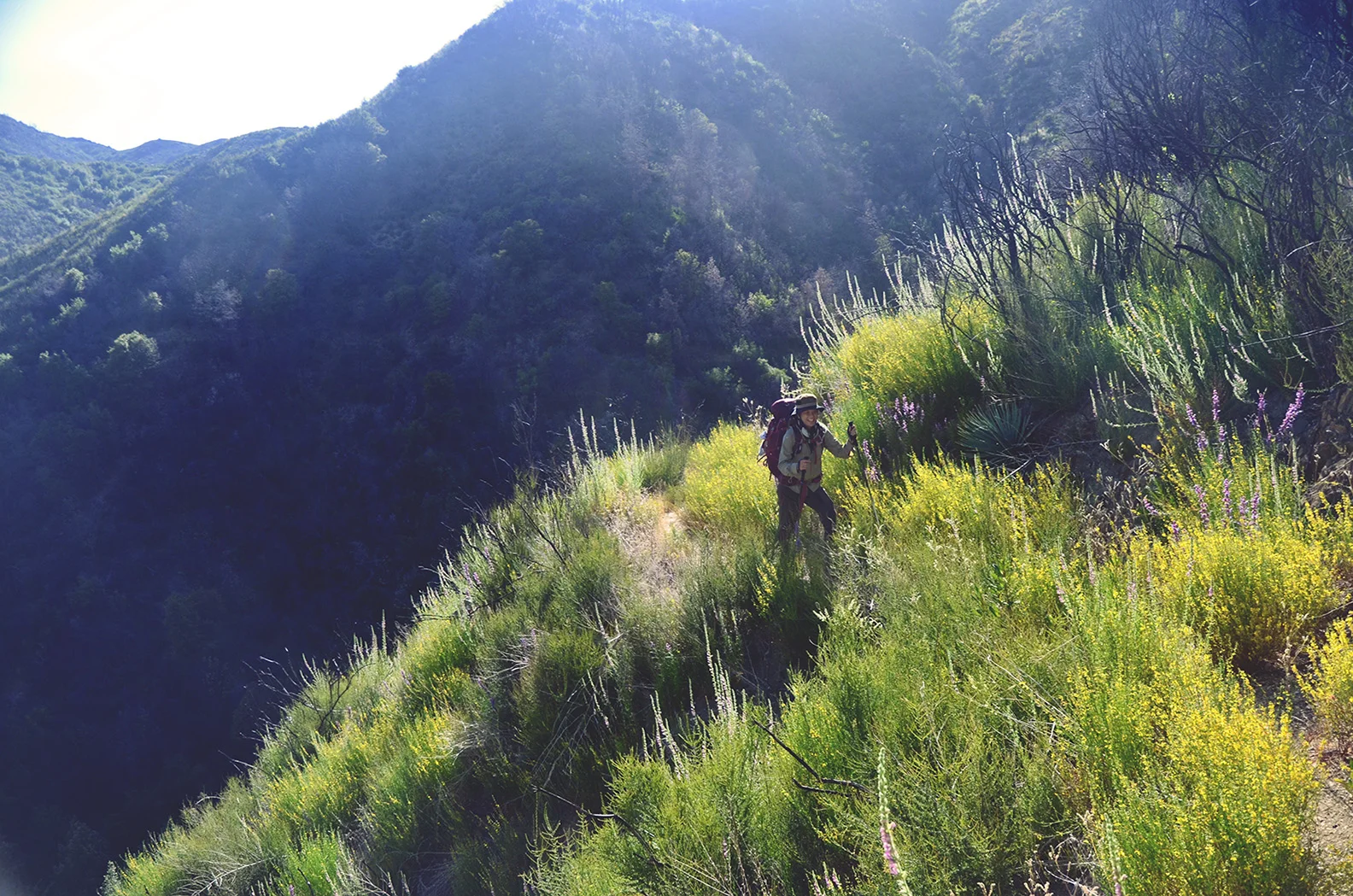 wild-dharma-hiker.jpg