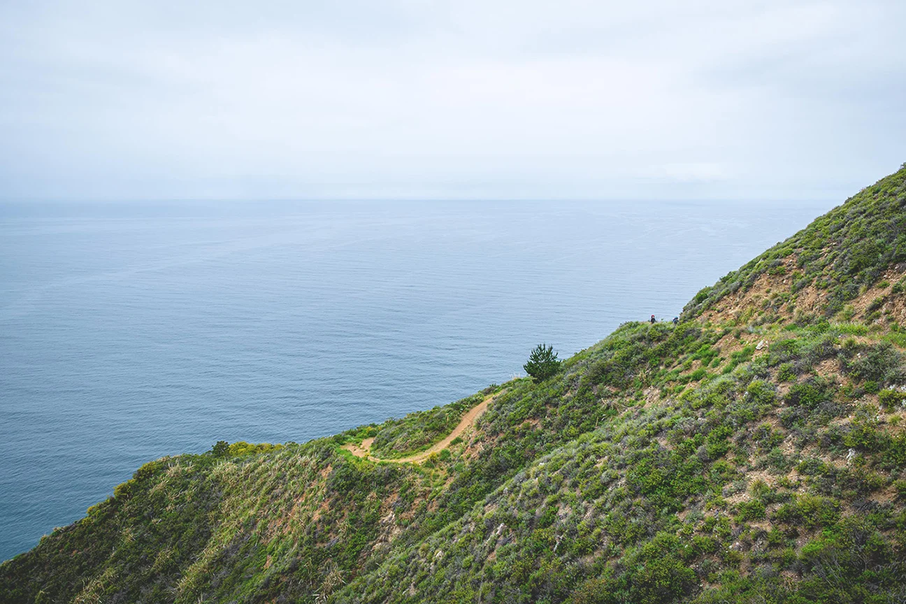 WildDharma-coast.jpg