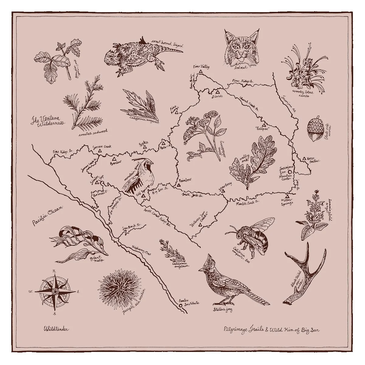 bandana2-web.jpg