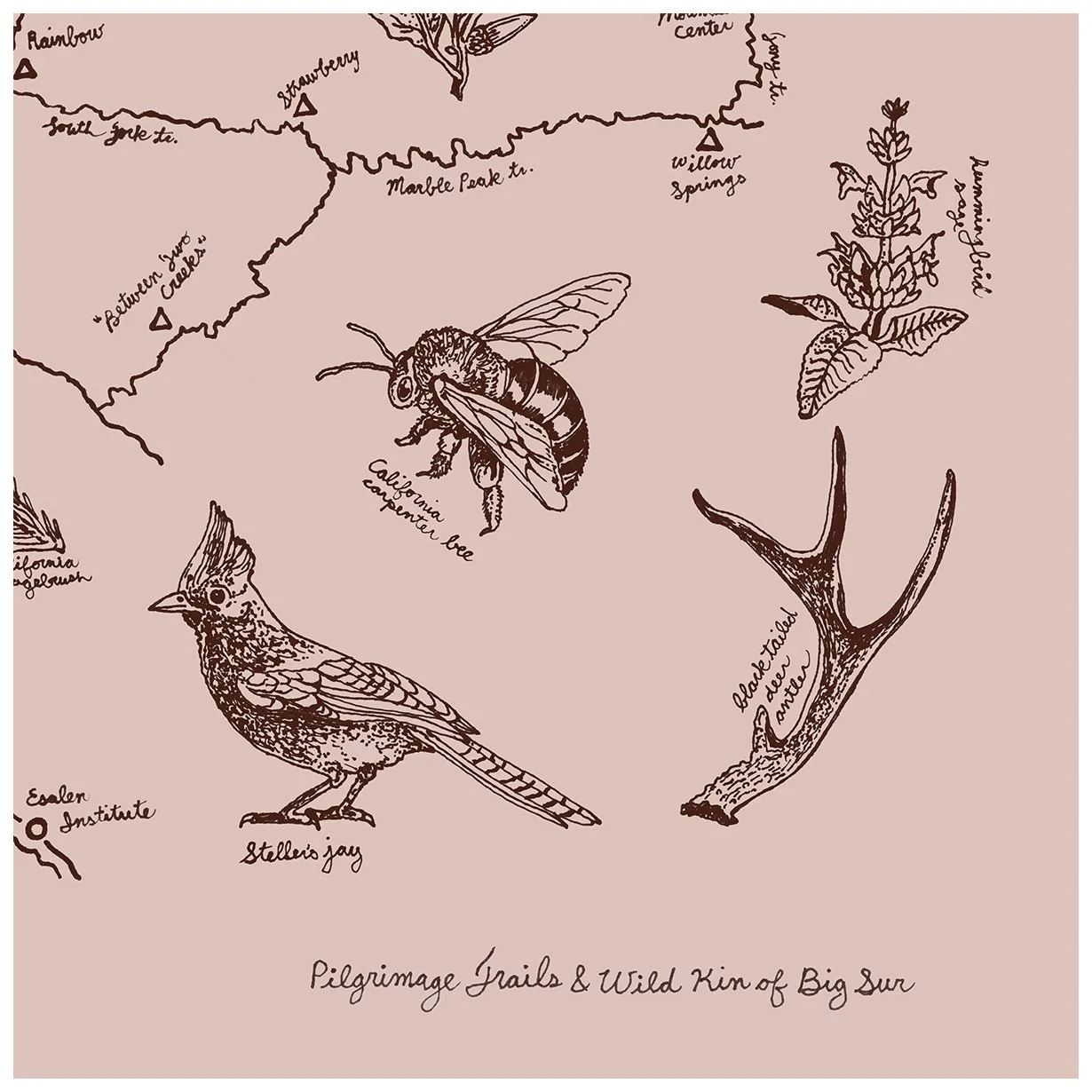 bandana4-slide.jpg