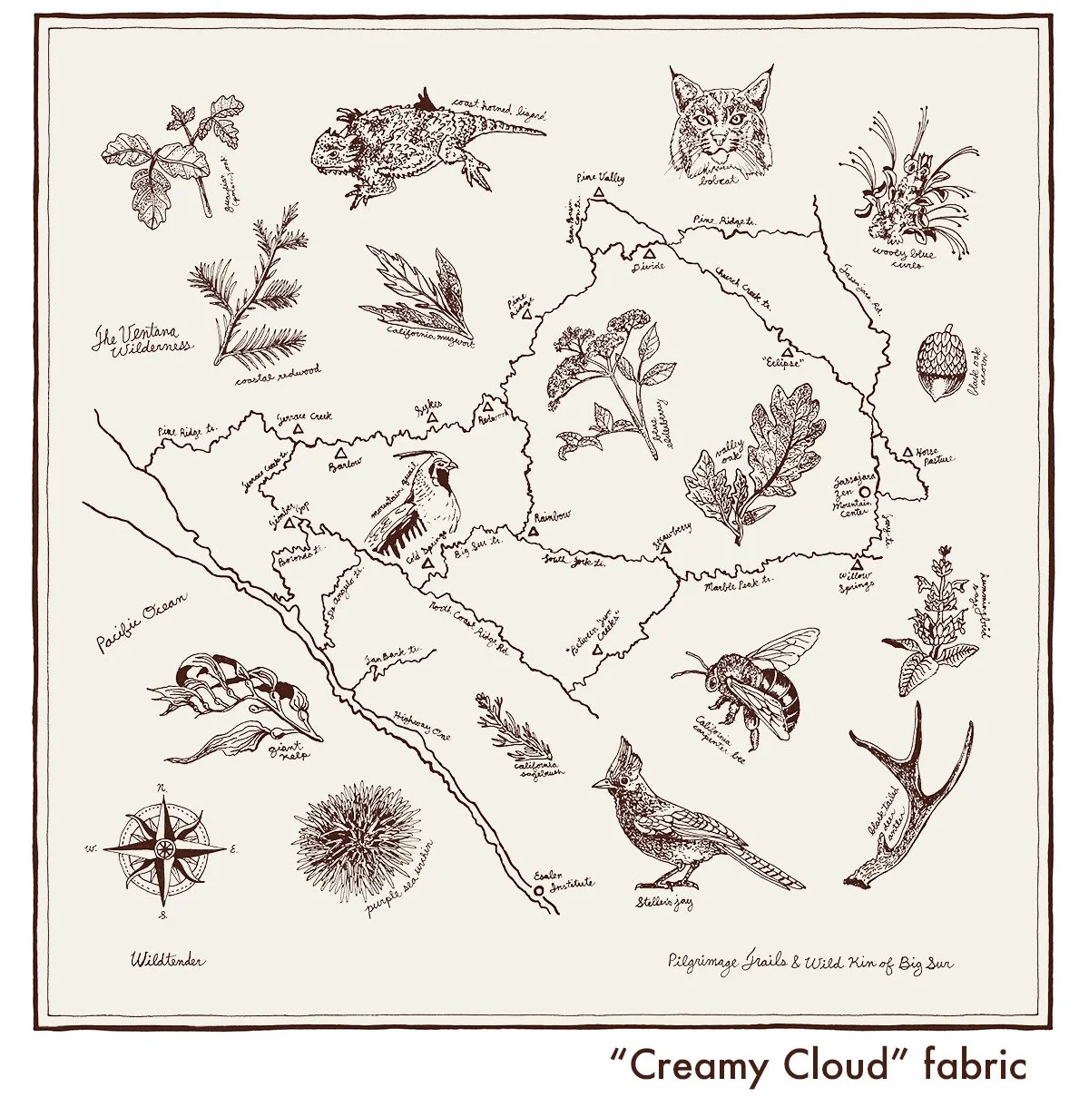 creamy-cloud-example.jpg