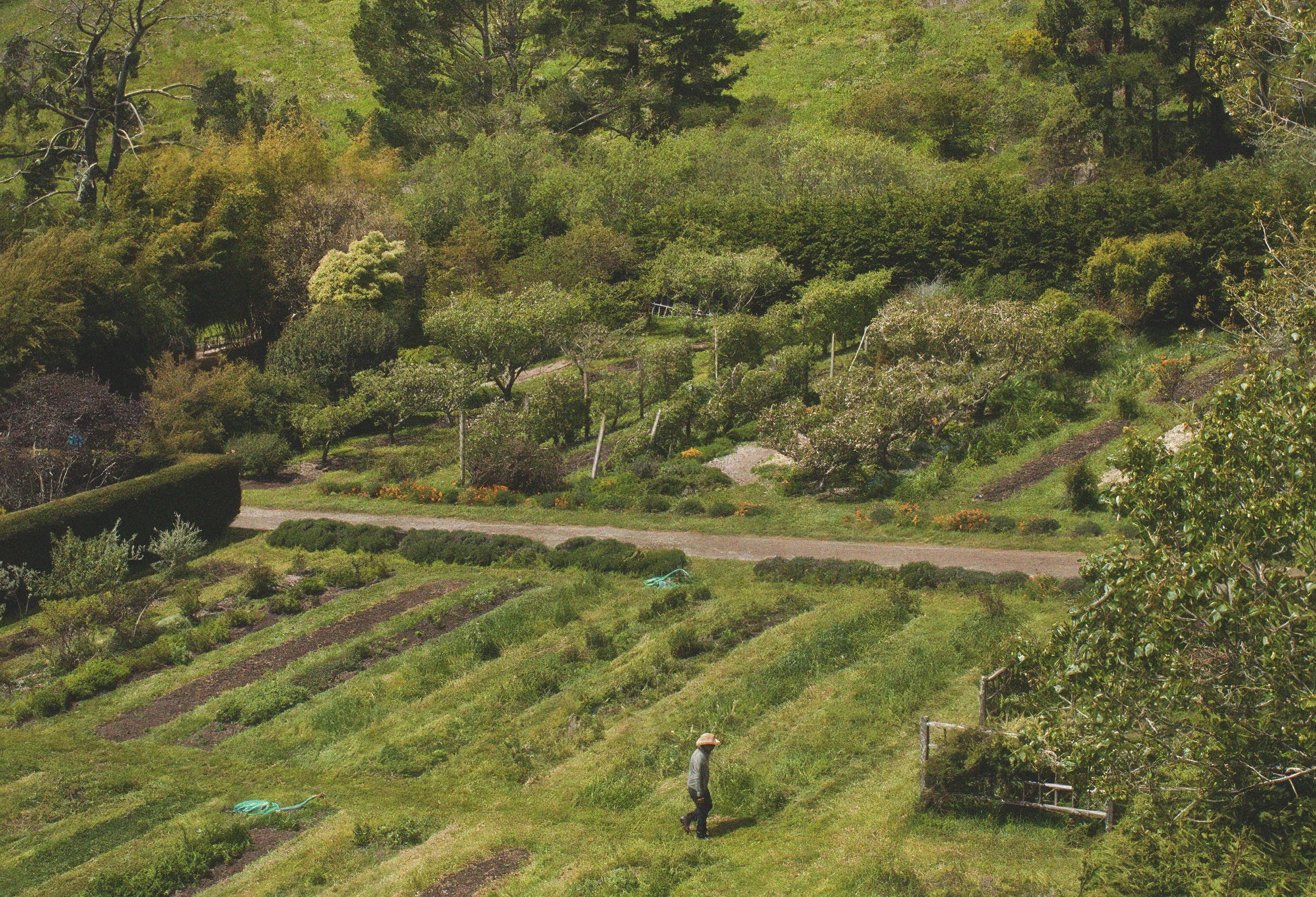 green-gulch-web-banner.jpg