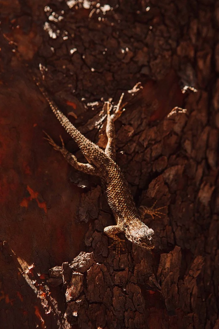 "Stories of the Land" 2024 Registration