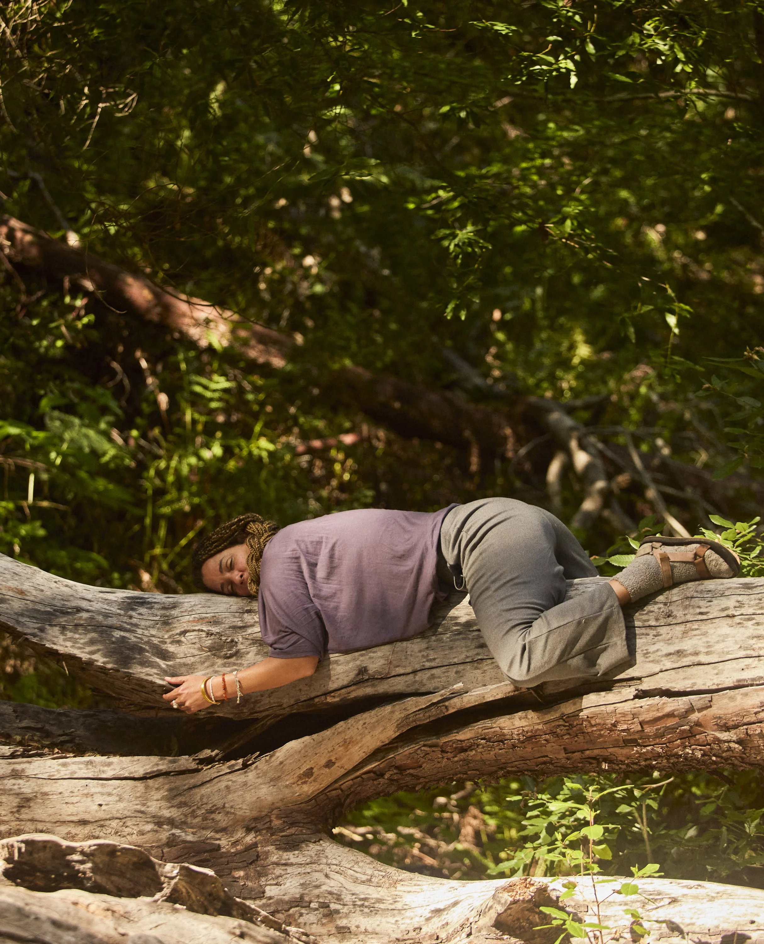 Wild Pilgrimage Scholar Registration