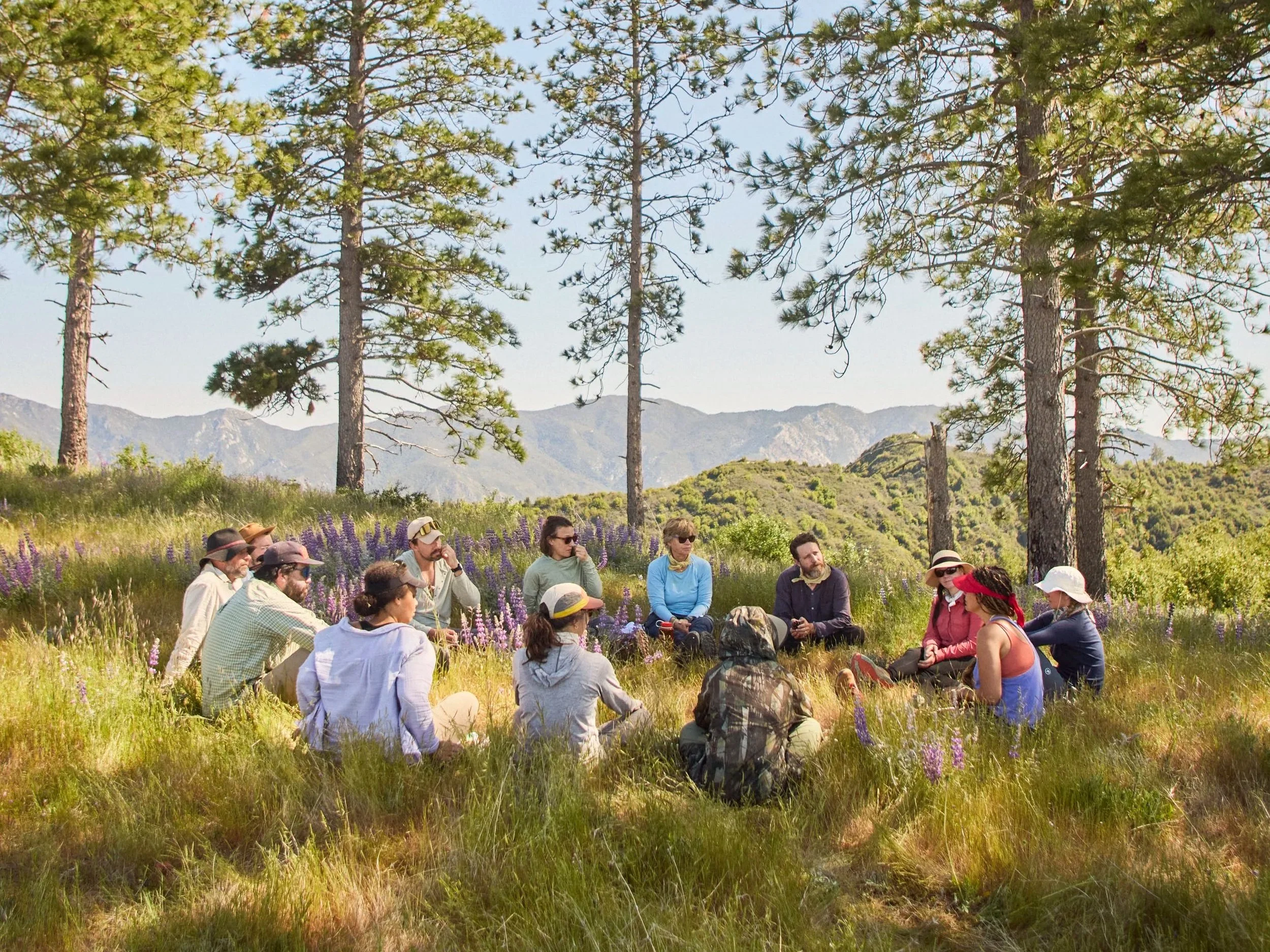 Wild Pilgrimage Scholar Registration